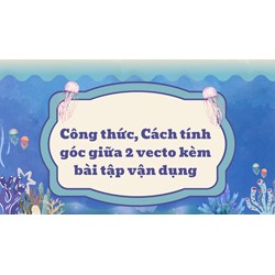 Công thức, cách tính góc giữa hai vecto kèm bài tập vận dụng