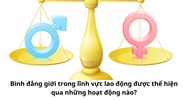 Bình đẳng giới trong lĩnh vực lao động được thể hiện qua những hoạt động nào?