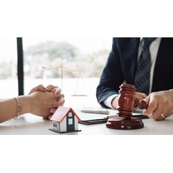 Thành phần Hội đồng đấu giá quyền sử dụng đất trong trường hợp đặc biệt gồm những ai?