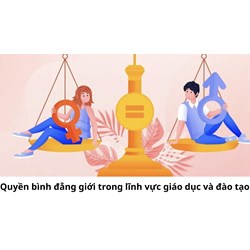 Quyền bình đẳng giới trong lĩnh vực giáo dục và đào tạo như thế nào?