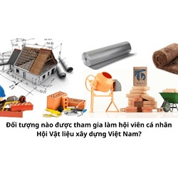 Đối tượng nào được tham gia làm hội viên cá nhân Hội Vật liệu xây dựng Việt Nam?