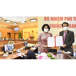 Thẩm quyền cách chức Phó Trưởng Ban Dân nguyện?