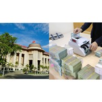 Ai là Chủ tịch Hội đồng thanh lý tài sản của tổ chức tín dụng?