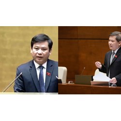 Viện trưởng Viện kiểm sát nhân dân tối cao được thanh lý những tài sản công nào?