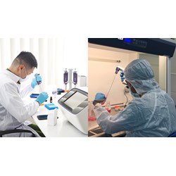 Thủ tục bổ nhiệm giám định viên tư pháp trong hoạt động Khoa học và Công nghệ cấp tỉnh?