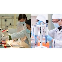Viện trưởng Viện Pháp y Quốc gia thuộc Bộ Y tế có bắt buộc là giám định viên tư pháp không?