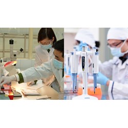 Viện trưởng Viện Pháp y Quốc gia thuộc Bộ Y tế có bắt buộc là giám định viên tư pháp không?