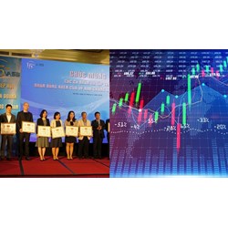 Thủ tục thanh lý tài sản của Hiệp hội kinh doanh chứng khoán Việt Nam giải thể?