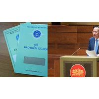 Tài sản nhà nước trong hệ thống Bảo hiểm xã hội được thanh lý khi nào?