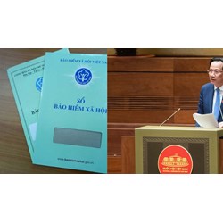 Tài sản nhà nước trong hệ thống Bảo hiểm xã hội được thanh lý khi nào?