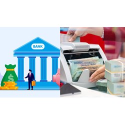 Nguyên tắc thanh lý tài sản của tổ chức tín dụng, chi nhánh ngân hàng nước ngoài?