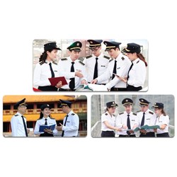 Hồ sơ đăng ký dự thi ngạch Kiểm toán viên nhà nước gồm những tài liệu gì?