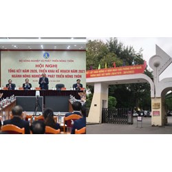 Thủ tục cấp lại thẻ giám định viên tư pháp tại Bộ Nông nghiệp và Phát triển nông thôn?