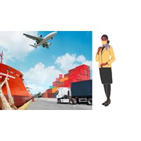 Tiếp viên hàng không vận chuyển trái phép tài sản, hàng hóa không được hành nghề trong bao lâu?