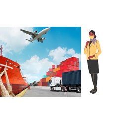 Tiếp viên hàng không vận chuyển trái phép tài sản, hàng hóa không được hành nghề trong bao lâu?