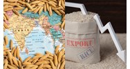 Hình thức nộp hồ sơ cấp lại chứng nhận đủ điều kiện kinh doanh xuất khẩu gạo