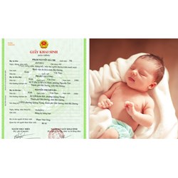 Có bắt buộc phải đăng ký khai sinh cho con theo họ cha không?