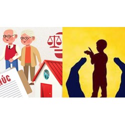Người chưa thành niên có được hưởng di sản thừa kế không?