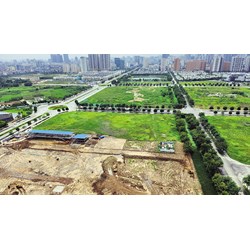 Quy định về hạn mức, thủ tục giao đất cho tổ chức