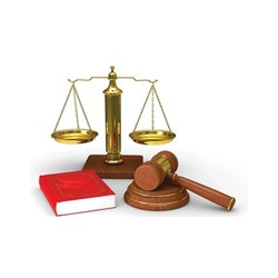 Từ ngày 01/7/2024, Phó Bí thư Chi bộ không còn hưởng phụ cấp chức vụ 0,25 lần khi cải cách tiền lương