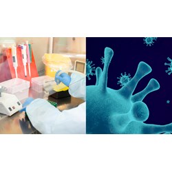 Thông tin lớp ngoài cùng của mẫu bệnh phẩm bệnh truyền nhiễm