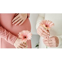 Em gái ruột đã lập gia đình có được nhận mang thai hộ cho chị gái hay không?