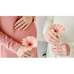 Em gái ruột đã lập gia đình có được nhận mang thai hộ cho chị gái hay không?