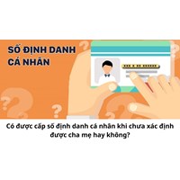 Có được cấp số định danh cá nhân khi chưa xác định được cha mẹ hay không?