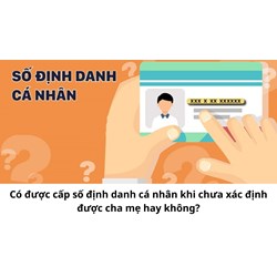Có được cấp số định danh cá nhân khi chưa xác định được cha mẹ hay không?