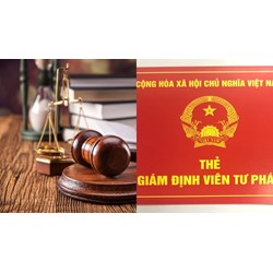 Lệ phí cấp Thẻ giám định viên quyền tác giả?