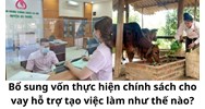 Bổ sung vốn thực hiện chính sách cho vay hỗ trợ tạo việc làm như thế nào?