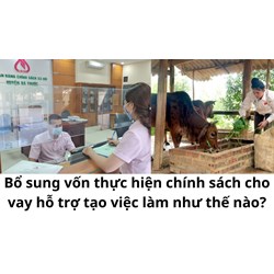 Bổ sung vốn thực hiện chính sách cho vay hỗ trợ tạo việc làm như thế nào?