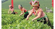 Sửa đổi đối tượng được hỗ trợ đất sản xuất vùng đồng bào dân tộc thiểu số