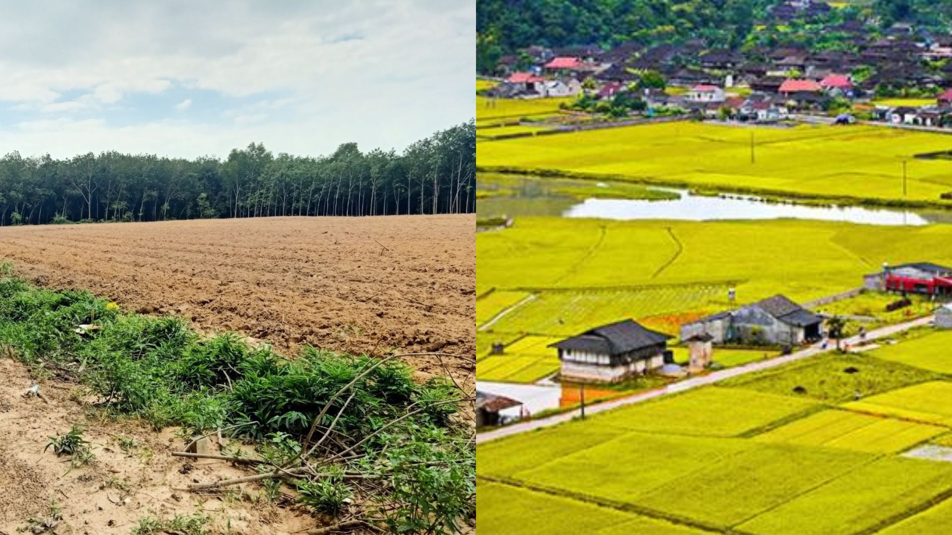 Địa điểm - đất thổ cư ở tỉnh nào?