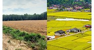 Đất sổ chung có lên thổ cư được không?