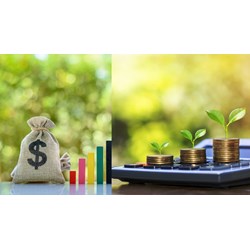 Cơ cấu tổ chức của Quỹ Phát triển vì cộng đồng theo quy định?