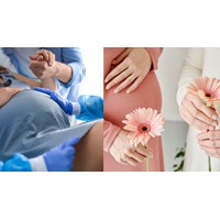 Hồ sơ hưởng chế độ thai sản đối với người mẹ mang thai hộ?