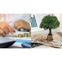 Quy định về thủ tục giảm vốn điều lệ công ty có vốn đầu tư nước ngoài