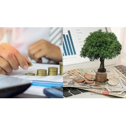Quy định về thủ tục giảm vốn điều lệ công ty có vốn đầu tư nước ngoài