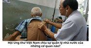 Hội Ung thư Việt Nam chịu sự quản lý nhà nước của những cơ quan nào?