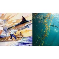 Phân tích tác phẩm Ông già và biển cả đầy đủ, chi tiết nhất