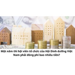Một năm thì hội viên tổ chức của Hội Dinh dưỡng Việt Nam phải đóng phí bao nhiêu tiền?