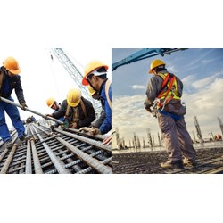 Hồ sơ đề xuất đưa ra khỏi danh mục nghề đặc biệt nguy hiểm
