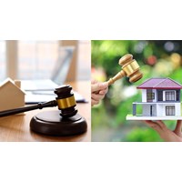 Xử phạt tổ chức đấu giá tài sản thông báo công khai trái quy định