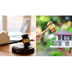 Xử phạt tổ chức đấu giá tài sản thông báo công khai trái quy định