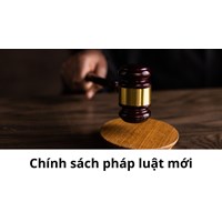 Những chính sách mới nhất về lao động có mới có hiệu lực