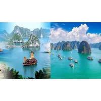 Yêu cầu của chuyên viên cao cấp về quản lý xúc tiến, quảng bá du lịch