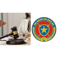 Khi nào Thủ trưởng cơ quan thi hành án dân sự phải ủy thác thi hành án cho cơ quan THA dân sự?