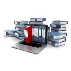 Các hoạt động dịch vụ lưu trữ bao gồm những hoạt động nào?