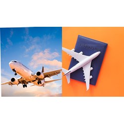 Quy định về cơ cấu tổ chức của Cục Hàng không Việt Nam mới nhất?